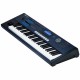 Kurzweil PC3LE6