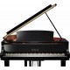 YAMAHA C7X PE