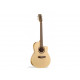 Гитара NORMAN 025060 - Encore B20 CW Folk