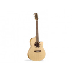 Гитара NORMAN 025060 - Encore B20 CW Folk