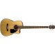 FENDER CB-100CE