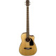FENDER CB-100CE