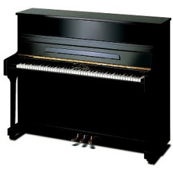 PEARL RIVER UP118M Ebony+B