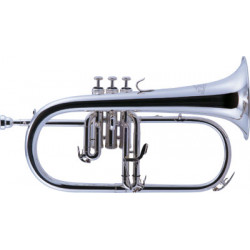 J.Michael FG-550S(S)