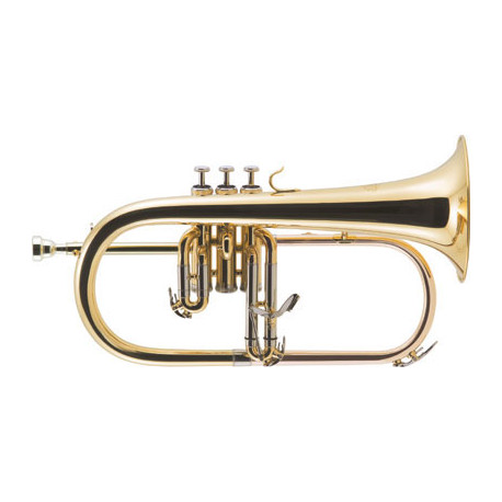 J.Michael FG-500(S)