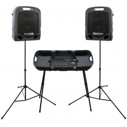 PEAVEY ESCORT 3000 MKII