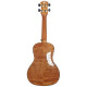 PARKSONS UK24MS