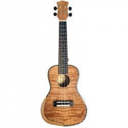 PARKSONS UK24MS