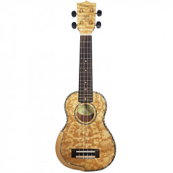 PARKSONS UK21FS