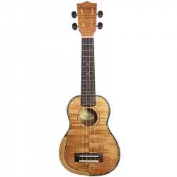 PARKSONS UK21MS