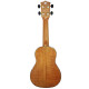 PARKSONS UK21MS