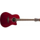 OVATION CS24-RR