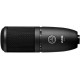 AKG P120