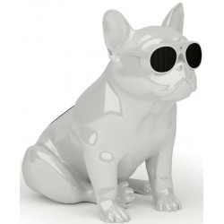 JARRE TECHNOLOGIES AEROBULL XS1 GLOSSY WHITE