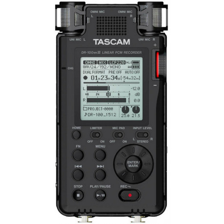 Tascam DR-100 mk3