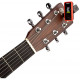 D'ADDARIO PW-CT-17RD Eclipse Tuner