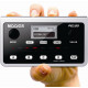 MOOER PE100