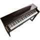KURZWEIL MP120 SR