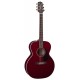 TAKAMINE EG430S-WR