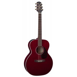 TAKAMINE EG430S-WR