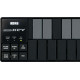 KORG NANOKEY