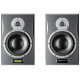 DYNAUDIO AIR 15 MASTER D
