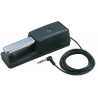 ROLAND DP-10