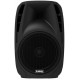 LANEY AH112
