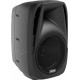 LANEY AH210