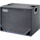 Laney N115