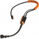 SHURE SM31FHTQG