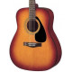 YAMAHA F310 TBS