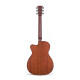MARTIN OMCPA4