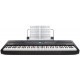 ALESIS RECITAL PRO