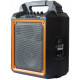 CLARITY MAX6W