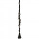 MAXTONE China TCC27BNS