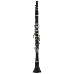 MAXTONE China TCC27BNS