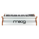 MOOG SUBSEQUENT 37