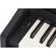 ROLAND RP102BK