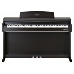 KURZWEIL M100 SR