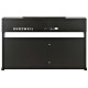 KURZWEIL M100 SR