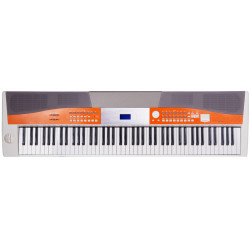 KURZWEIL KA-110 YP