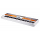KURZWEIL KA-110 YP
