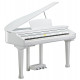 KURZWEIL KAG-100 WHP