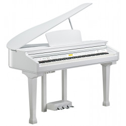 KURZWEIL KAG-100 WHP