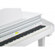 KURZWEIL KAG-100 WHP