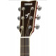 YAMAHA FS830 NT