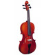 STRUNAL STRADIVARIUS 29WA 4/4
