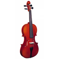 STRUNAL STRADIVARIUS 29WA 4/4