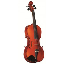 STRUNAL STRADIVARIUS 150 3/4